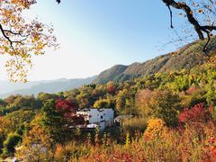 -塔川景区