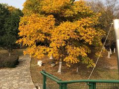 -白塘生态植物园