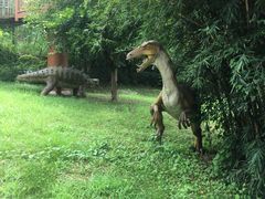 -自贡恐龙博物馆