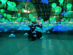 -南湖梦幻岛