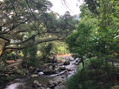 -广州市石门国家森林公园