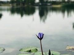 -上海植物园-4号门售票处