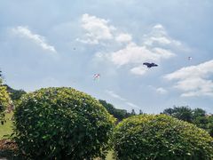 -东莞植物园
