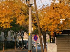 -知春路(地铁站)