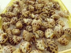 -吉源大排档·鱼生·海鲜(烧烤彩印厂店)