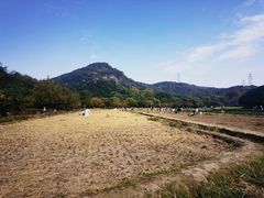 -八卦田遗址公园