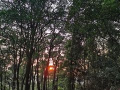 -广州市白云山风景名胜区