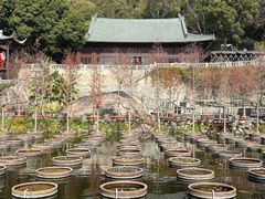 -石峰岩寺