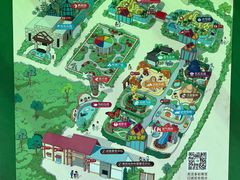 -南宫五洲植物乐园