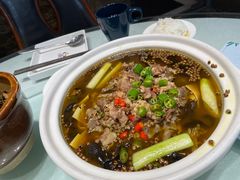 -三强鸽子(中原路店)