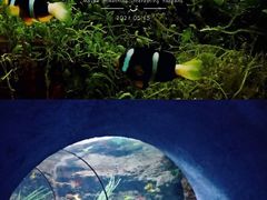 -郑州海洋馆