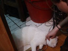 -老龙亭拉面店