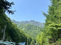 -朱雀国家森林公园