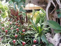 -北京植物园-展览温室