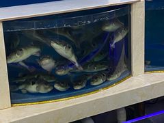 水产区-美食宴海鲜自助