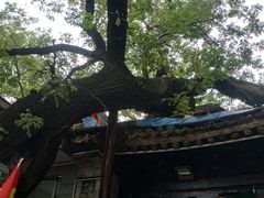 -清真西寺