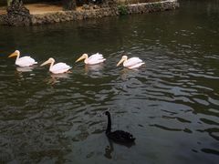 -黔灵山公园