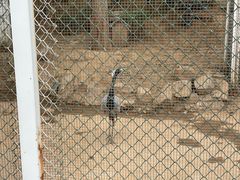 -辛玛王国游乐园