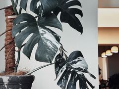 -十一咖啡(青年大街工厂店)