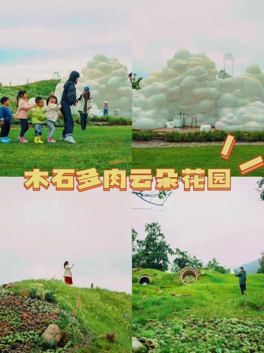 大理秘境|木石多肉云朵花园7915