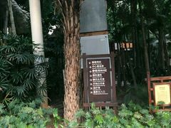 -龙达温泉生态城
