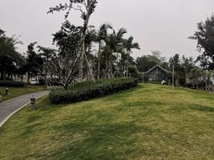 -宝安西湾红树林湿地公园