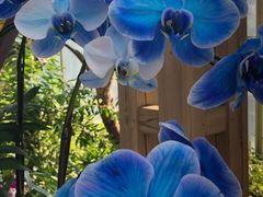 -华南国家植物园-售票处