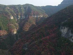 -黄花溪