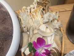 -千牛将·鲜牛肉火锅(开元路店)