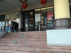 -金碧轩粤菜海鲜大酒楼