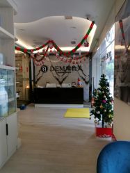 -DEM缔怡美科技美容