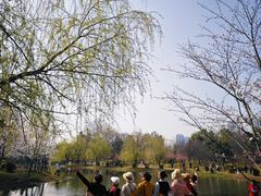 -堤角公园