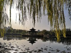 -青城公园