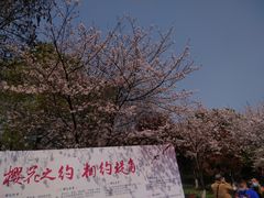 -堤角公园