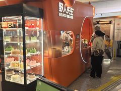 -野人先生现做冰淇淋(北京王府井东方新天地店)