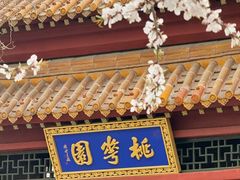 -桃花堤公园