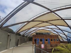 -怀托摩萤火虫洞