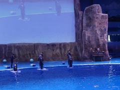 -华夏文旅海洋公园