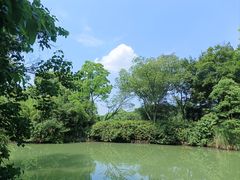 -西溪国家湿地公园