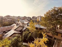 -浙江安吉JW万豪酒店·万豪中餐厅