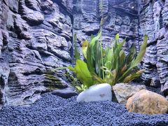 -上海海洋水族馆