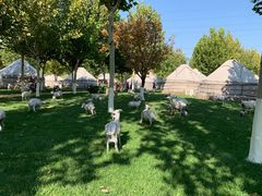 -九十九顶毡房(阜石路店)