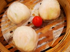 金牌虾饺皇-点都德(华强南店)