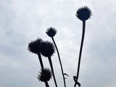 -南京眼步行桥