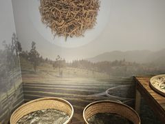 -中国茶叶博物馆(双峰馆区)