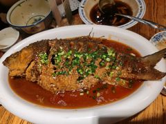 -老雒阳面馆·水席·洛阳菜(王城路店)