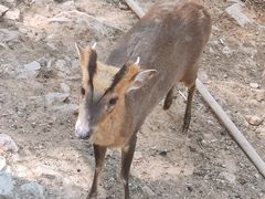 -昆明动物园