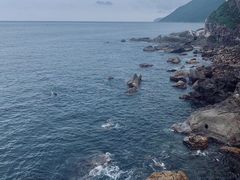 -杨梅坑