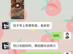 -奈斯宠物医院·核磁CT·异宠专科·内镜(中南店)