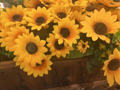 -粥之源(光明路店)